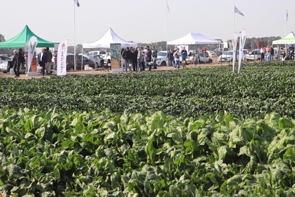 456608687_906885918142362_6099219366488096589_n