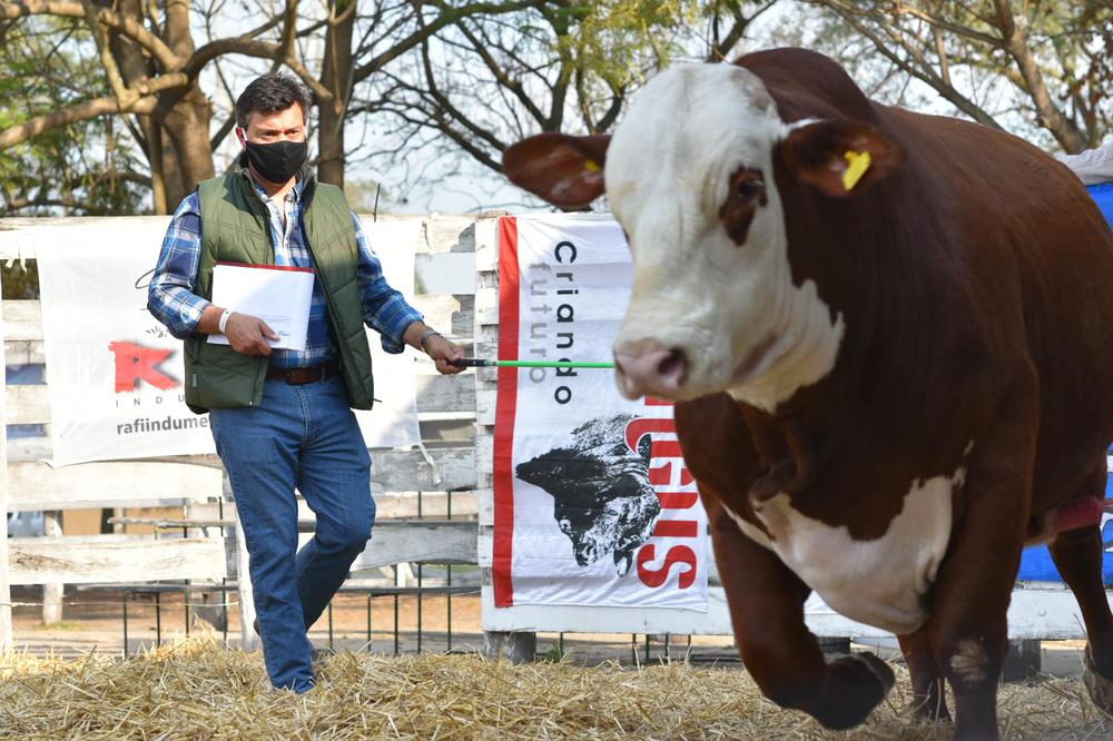 Expo Rural de San Justo_3