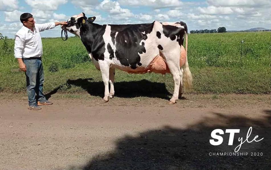 Style-championship-holando