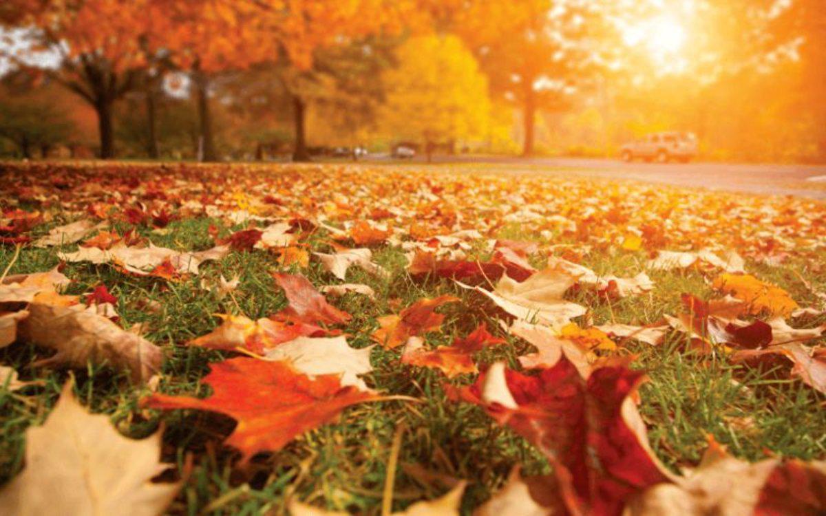 Equinoccio-de-otoño-aregntina-santa-fe