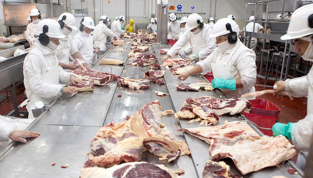 carne-frigorifico-infocampo