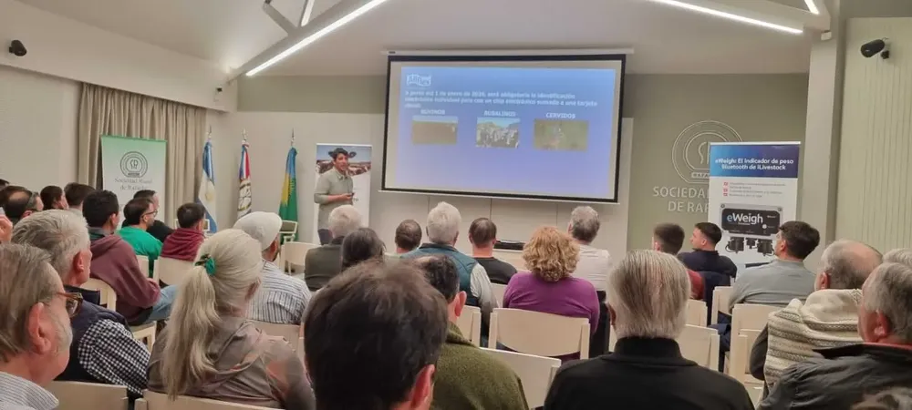 Imagen-de-WhatsApp-2025-10-30-a-las-22.28.32_c489ed34