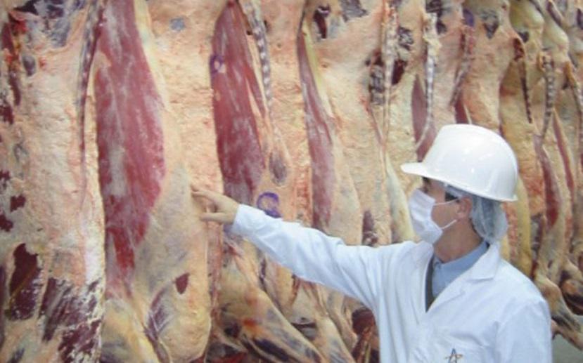 Carne