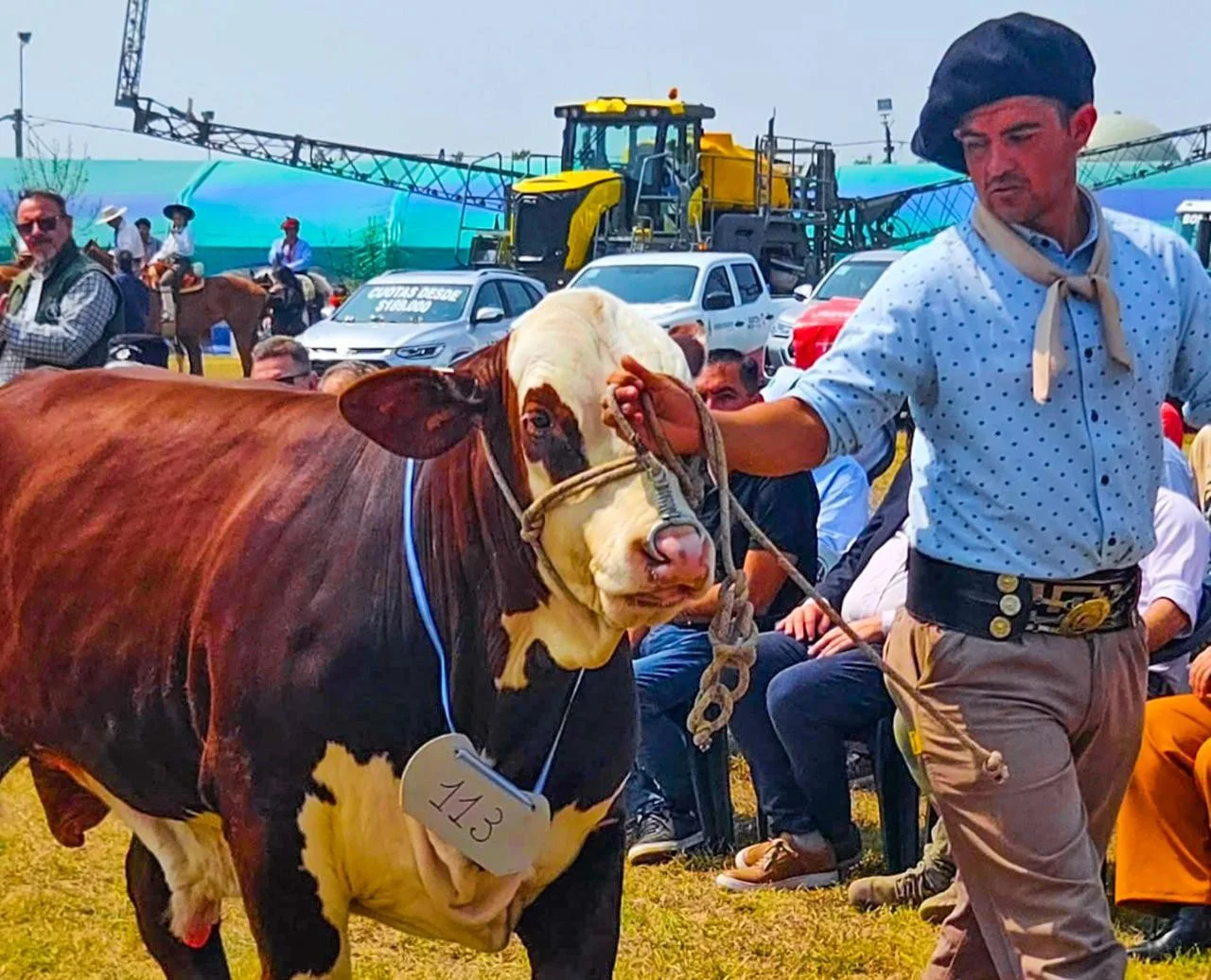 expo-rural-tostado-celebra-70-ediciones-y-convoca-a-toda-la-region-a-una-gran-fiesta-del-campo-2