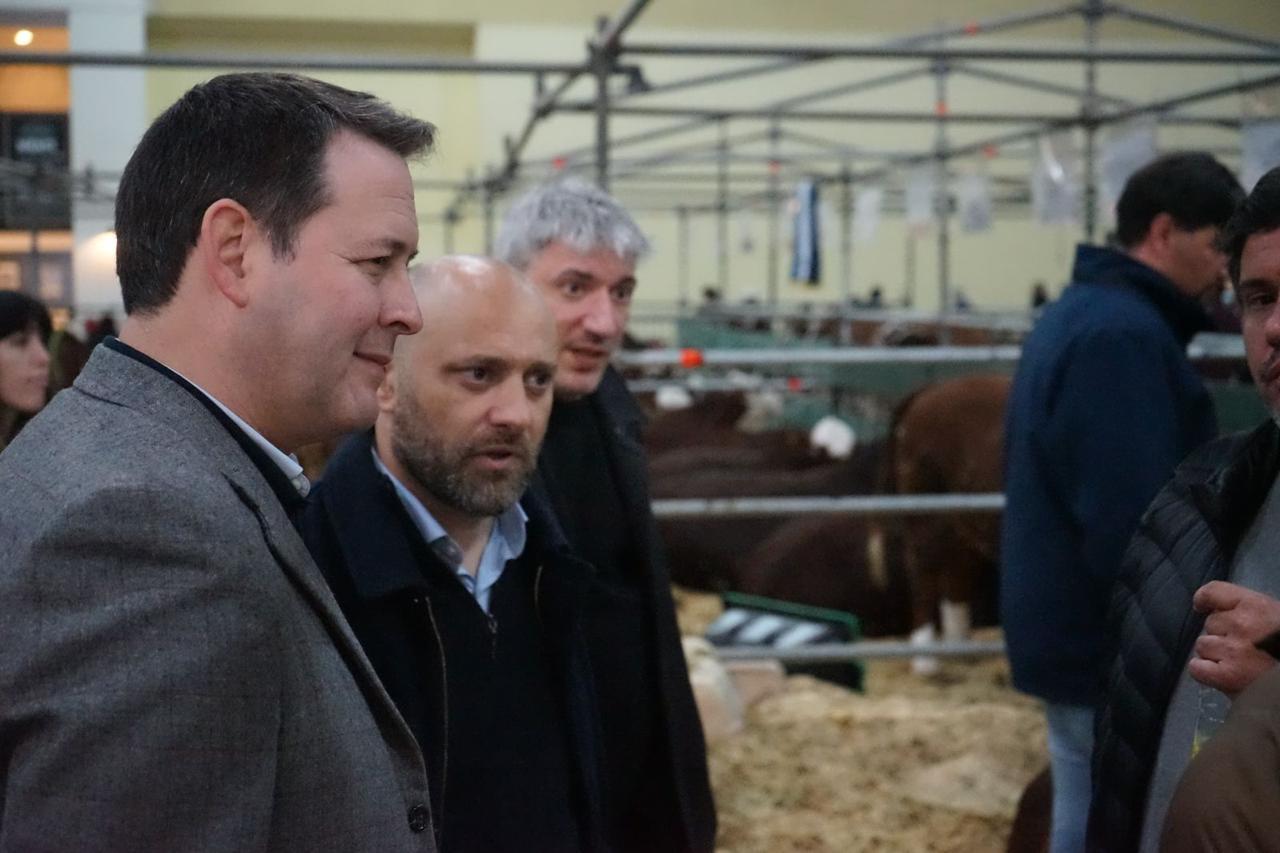 WhatsApp Image 2024-07-24 at 18.52.15