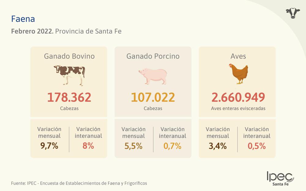 INFO0222_FAENA (1)
