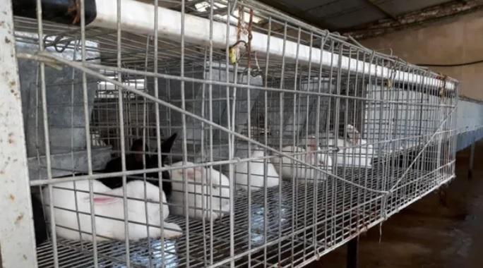 ddd