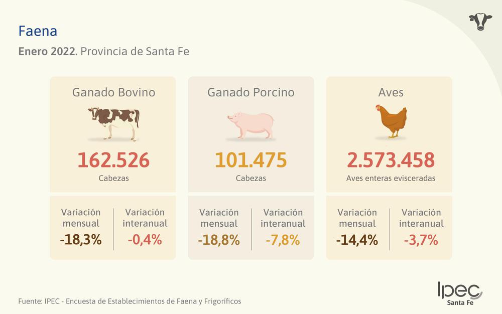 INFO0122_FAENA(1)