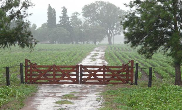 lluvia-en-el-campo