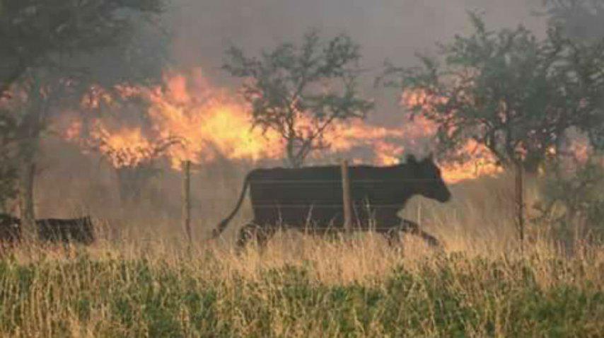 incendios