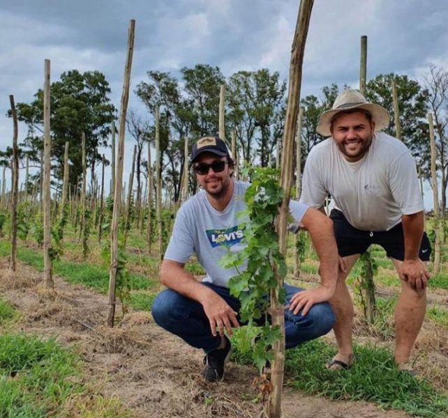 el-vinedo-arteaga-se-implanto-2019-y-esperan-la-primera-cosecha-2022