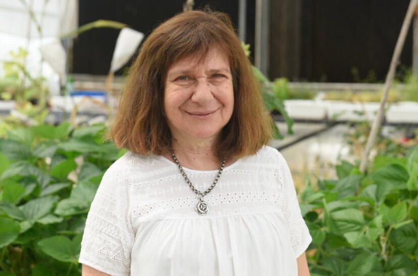 Raquel-Chan-1-828x548