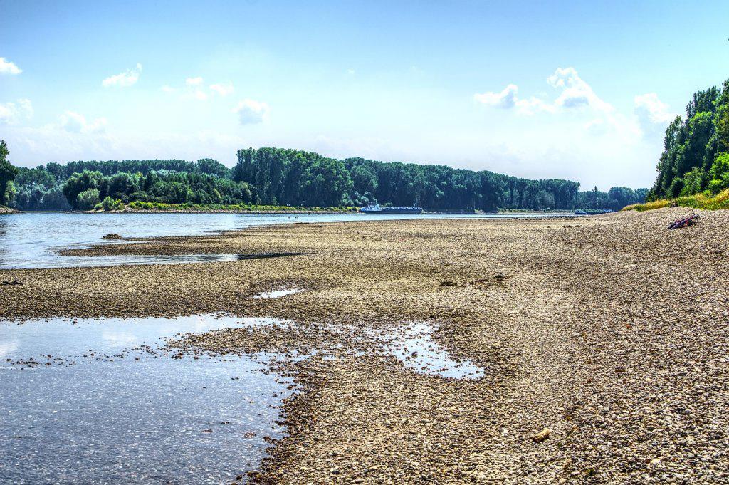rhine-3596913_1280-1024x681