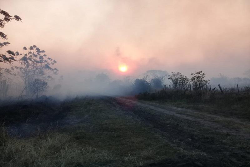 incendios-web