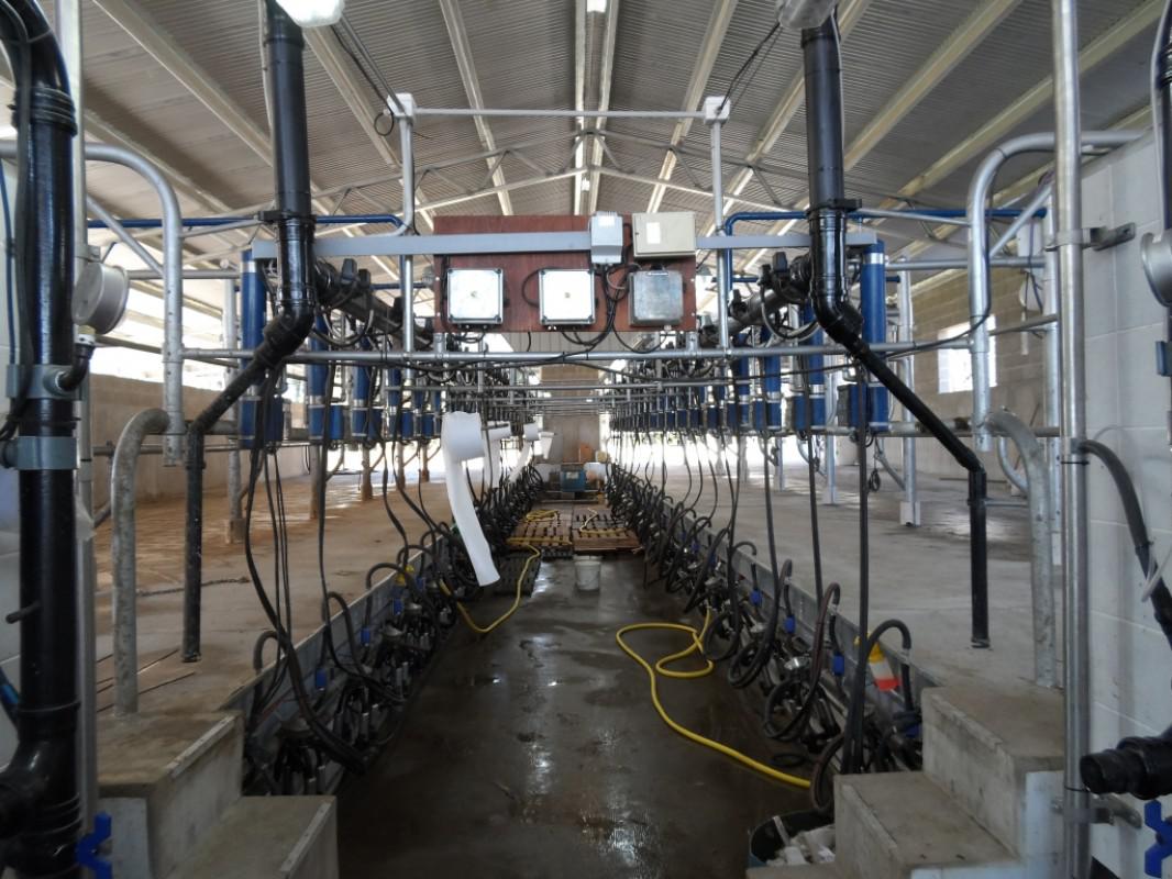 raul-catta-establecimiento-el-cencerro-sala-de-ordeno-para-salida-rapida-2-x-22-linea-baja-idnoticia284406_2-w1200-h800-m3