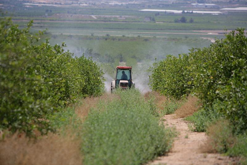 agro-fitosanitarios